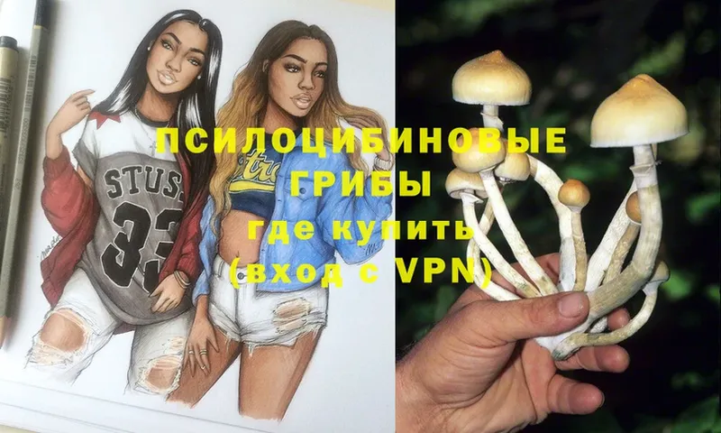 Галлюциногенные грибы Psilocybine cubensis  продажа наркотиков  Карталы 